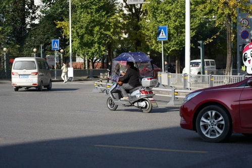 寶興縣規范電動三輪與四輪車管理 上路需持證上牌，強化生產源頭治理